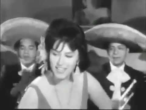 el piporro el terror