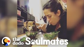 Paralyzed Dachshund Eats Dinner with Her Mom Every Single Night | The Dodo Soulmates