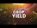 CropBioLife Fertiliser Enhancer Make Your Fertiliser Go Further