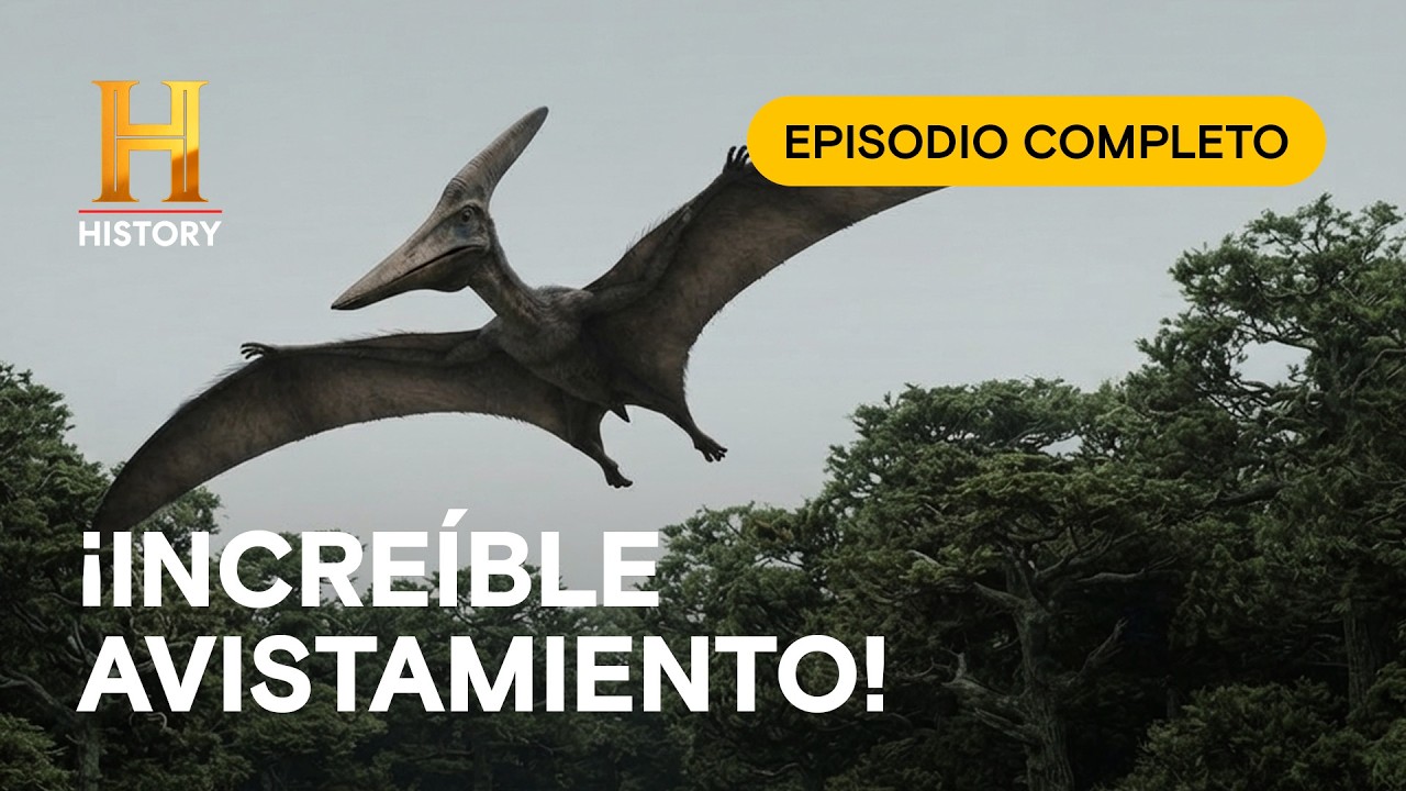 ¿Un pterosaurio vivo sobrevolando los árboles? - La Evidencia está entre Nosotros - Ep Completo