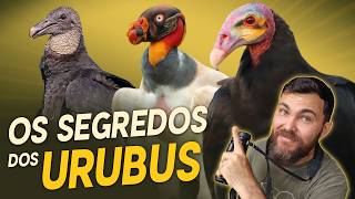 Miniatura do vídeo