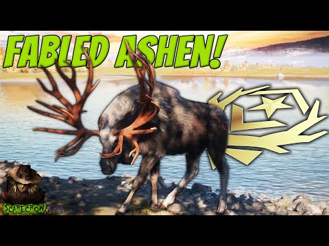 Switching Maps Got Us A FABLED ASHEN GREAT ONE MOOSE With The .338 Bolt Action! Call of the wild