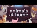 Domestic Animals Song For Kids Learn Animals We Keep At Home Preschool Learning