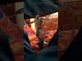 Bandar Dhiri Dhiri Nach Nach Funny My Chinchi Viral Vikash Baalveer35