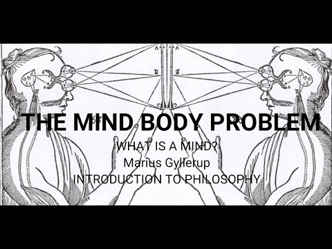 Mind Body Problem, Final Project by Marius Gyllerup