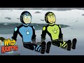 Stranded On The Moon Tardigrades Wild Kratts