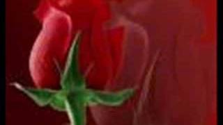 y todo acabo Brindis-JESTEHN