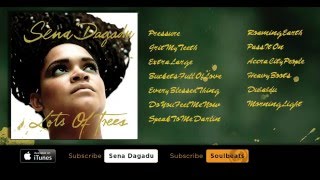 Sena Dagadu - Lots Of Trees (Full Album)