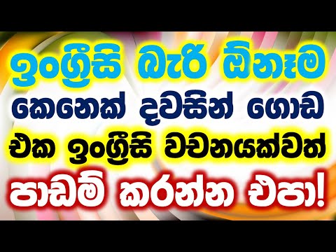 100 Most Common English Words and Example Sentences in Sinhala | English Sinhalen Online