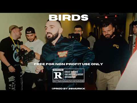 Toquel X Fly Lo Type Beat "BIRDS" | Hard Trap Beat 2024
