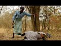 THE 3 WITCHES S06 EPISODE 13 FT SIYOYO