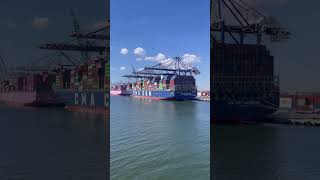 🚢Travelogue - Cape Liberty Cruise Port NJ 2025 #usa #nj #cruiseport