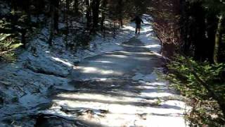 preview picture of video 'Jonah slides down the Roan Mountain summit trail'
