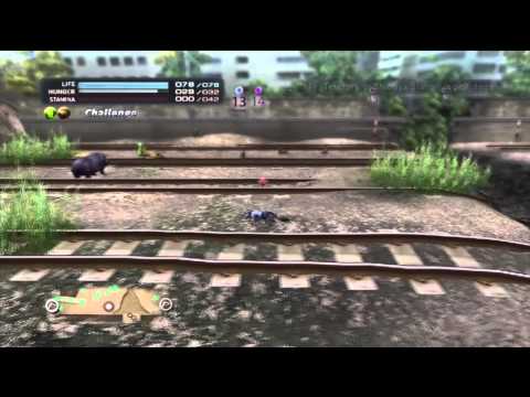 Tokyo Jungle Survival Episode 6 - Killing Other Jackals