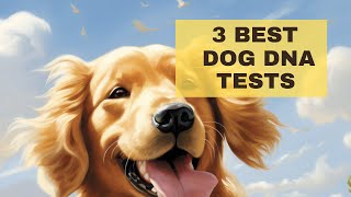 3 BEST Dog DNA Test Kits