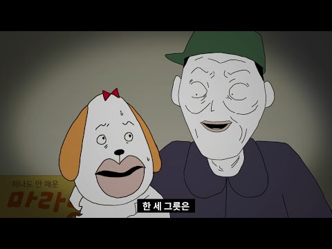 개천재 : 개가 된 천재 [모리네 가족]