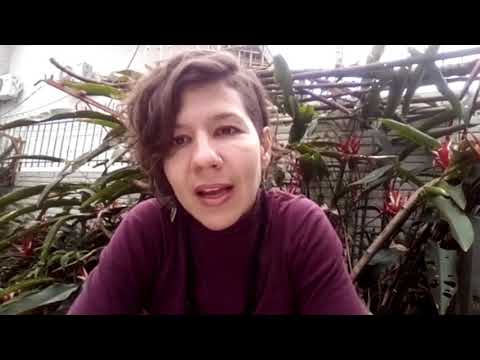 CERTIFICAÇÃO AMBIENTAL PARA O USO DA VEGETAÇÃO NATIVA DO RS