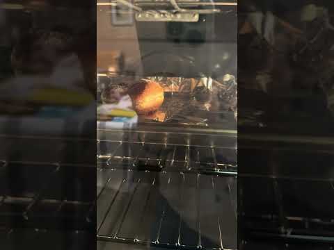 Chocolate Sufganiyah Coming Out of the Oven!