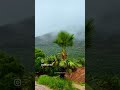 Bihar Ki Khubsurti Trending Video Viral Short Status Trending Viral Sex