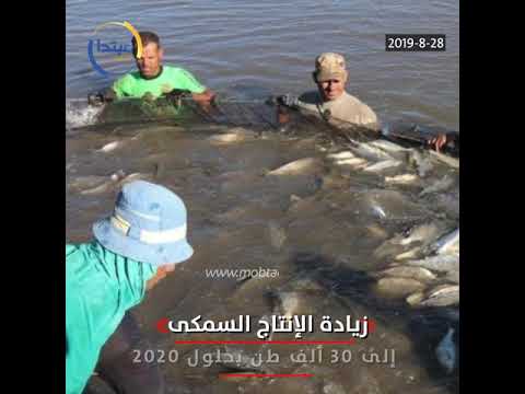 مصر تعيد إحياء بحيراتها