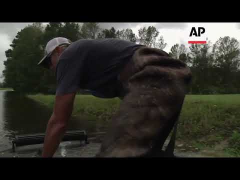 Humans and horses need rescue in NC town
