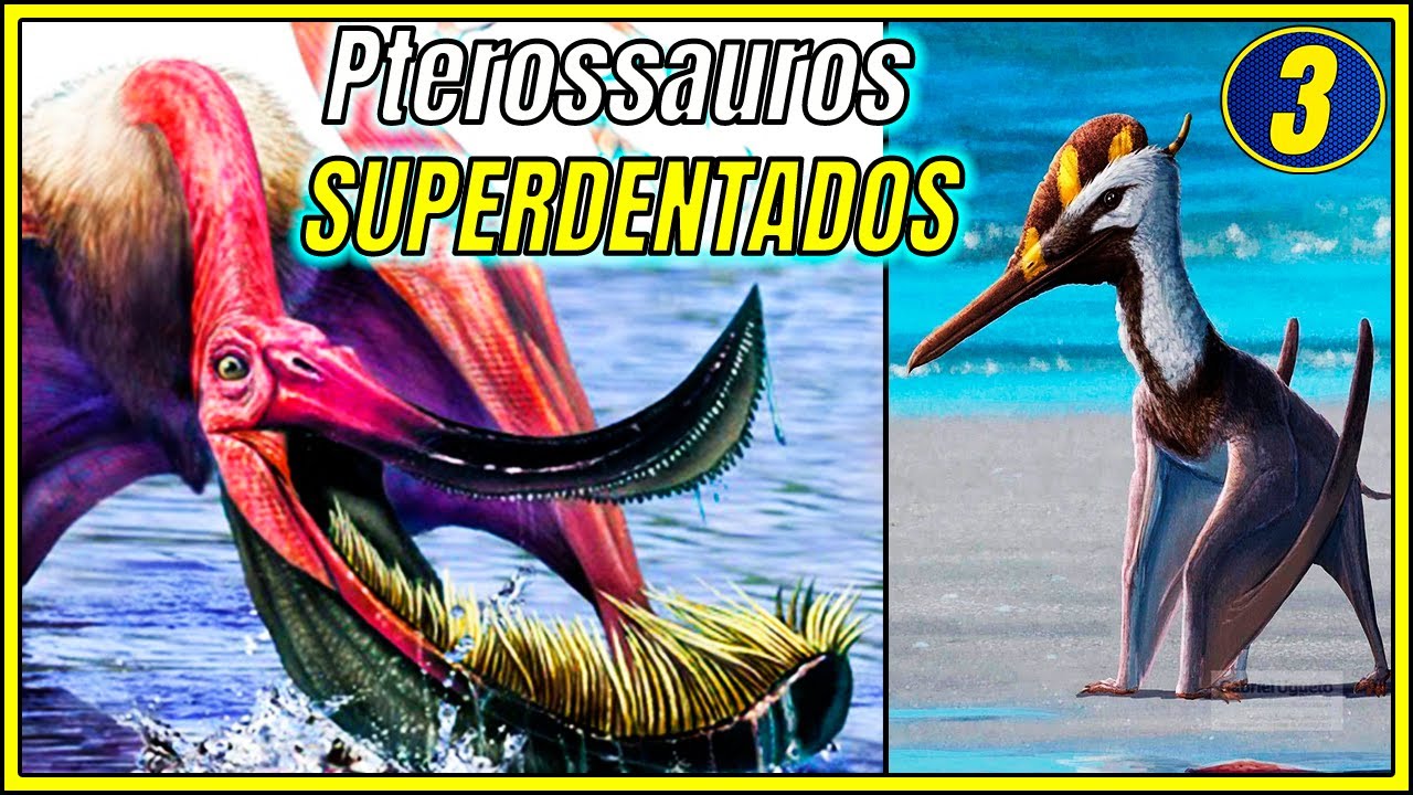 PTEROSSAUROS: EVOLUÇÃO dos PTERODACTILÓIDES do JURÁSSICO | ESPECIAL PTEROSSAUROS #3