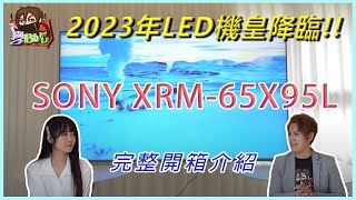 [心得] Sony XRM-65X95L 開箱簡易心得分享