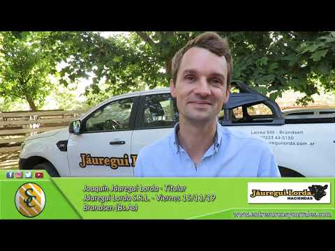 15-11-19 - Joaquin Jáuregui Lorda - Titular - Jáuregui Lorda S.R.L - Brandsen