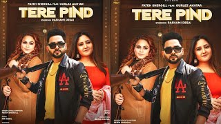 Tere Pind song artwork
