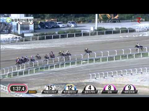 Minister's Cup 2014 - Never Seen Before