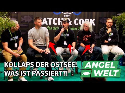 Die Ostsee am Limit – Experten & Angler sprechen Klartext!