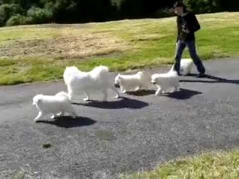 Première sortie au parc des Babies'Nouf - suite2