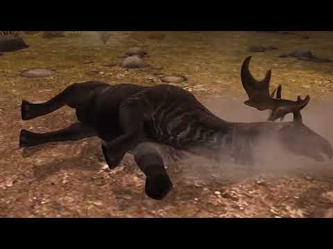 Opening 20,000 loyalty point panochthus pack!