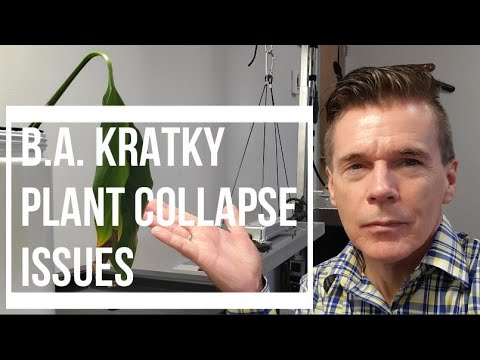 B.A. Kratky Plant Collapse Issues