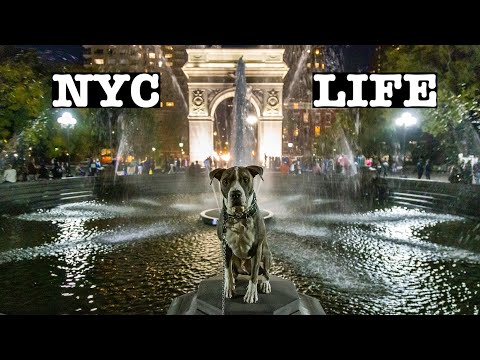 NYC LIFE: Walking Union Square to Washington Square Park