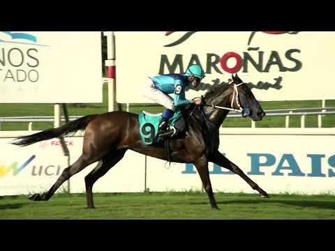 210214 c05 A Ramponi Lorda/ LISARB (BRZ)