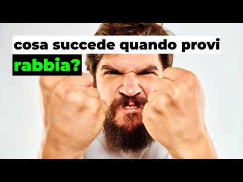 RABBIA: cosa succede nel tuo corpo quando la provi?