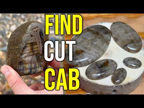 ANCIENT Petrified Wood TRANSFORMED Into Beautiful JEWELS!