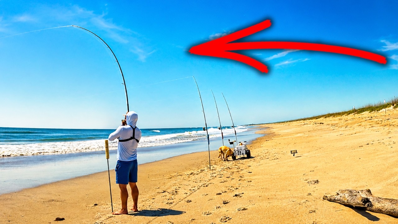 Summer Surf Fishing bite is HOTTT - Get To The BEACH!