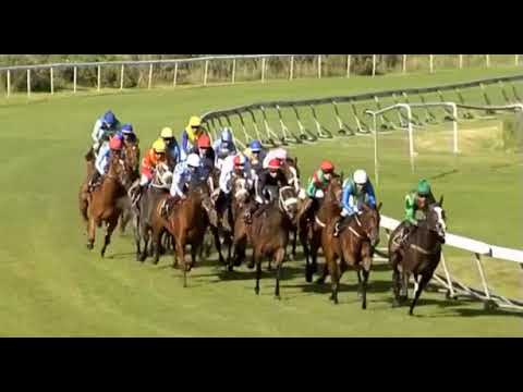 Third Runway - 2019 Cape Fillies Championship (Gr2)