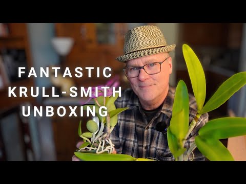 first order from this FABULOUS orchid nursery is a good'n