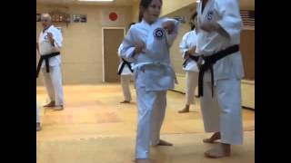 Miyazaki karate dojo- Killin All the Boyz