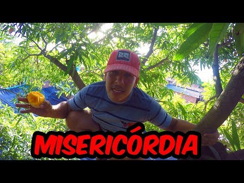 What a terrible year 2017 was! - The Galeroso