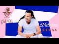 Qocaa Walaloo Afaan Oromoo By Etika Teferi