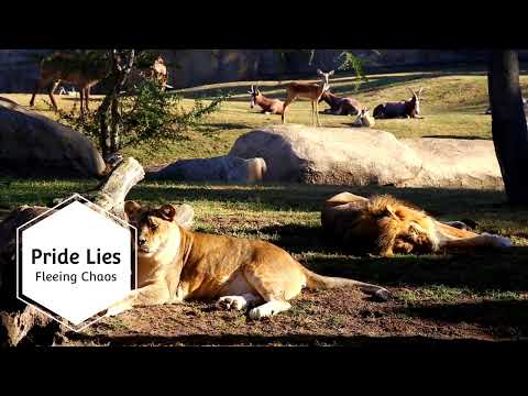 Fleeing Chaos - Pride Lies