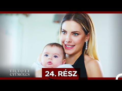 Tiltott Gyümölcs 24. Rész (Magyar Szinkron) (Hosszú Változat)