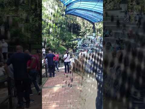 como llegar a la virgen de la salud el paramo santander #shorts #sangil