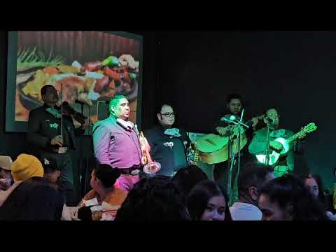 Promotional video thumbnail 8 for Mariachi  Los  Plateados