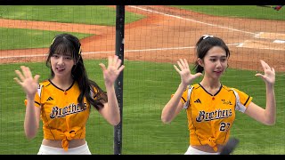 【Passion Sisters】練習生#衣宸#儀諪#完美好球三振他#台湾チアリーディングチーム#中華職棒#CPBL#樂天桃園球場#20241110（12強熱身賽）