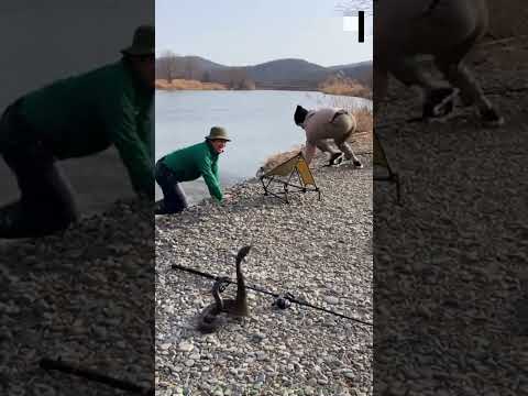 한가롭게 낚시 중, 강아지가 물어온 충격적인 '이것'